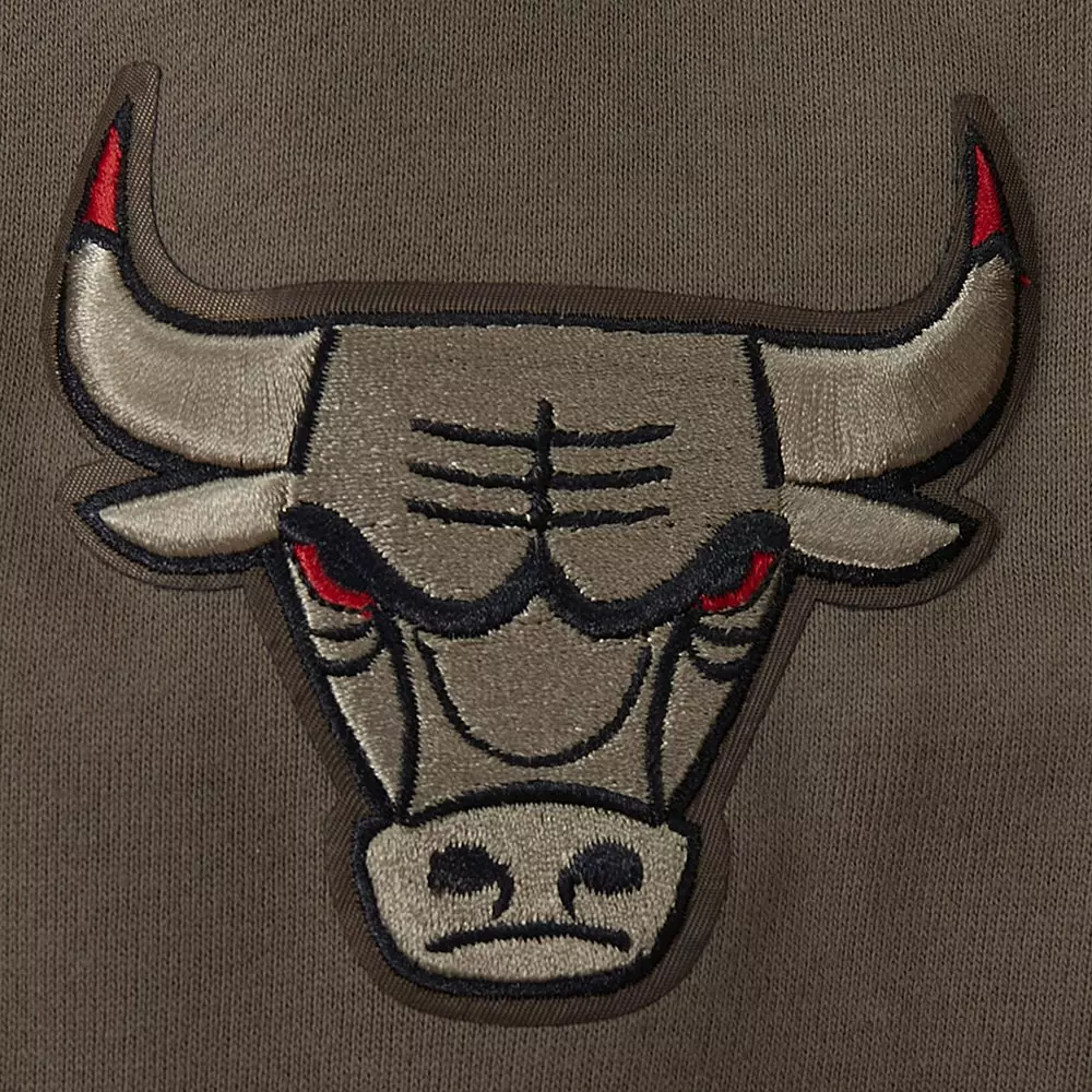 Pro Standard Men's Chicago Bulls Neutral Fleece Hoodie-Brown - BROWN