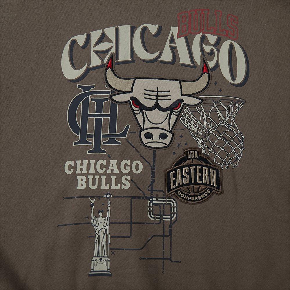 Pro Standard Men's Chicago Bulls Neutral Fleece Hoodie-Brown - BROWN Thumbnail View 5