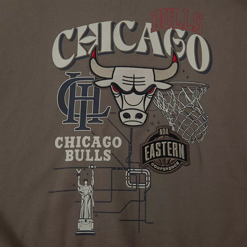 Pro Standard Men's Chicago Bulls Neutral Fleece Hoodie-Brown - BROWN