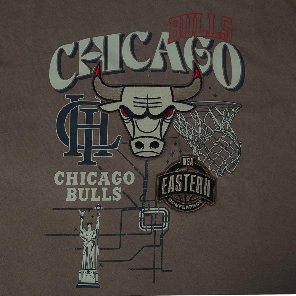 Pro Standard Chicago Bulls Neutral Tee-Brown - BROWN Thumbnail View 5