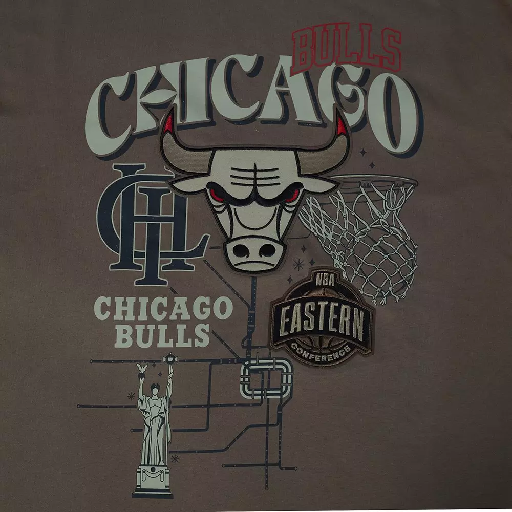 Pro Standard Chicago Bulls Neutral Tee-Brown - BROWN
