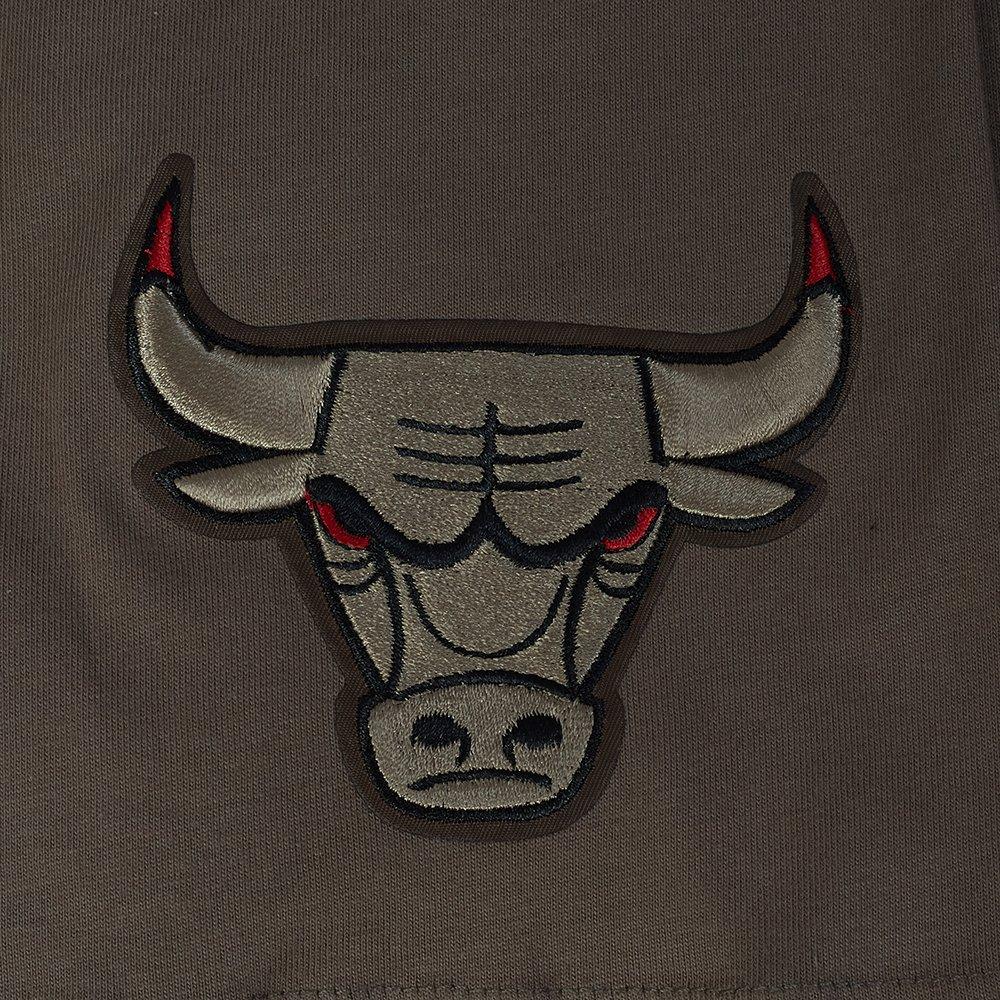 Pro Standard Chicago Bulls Neutral Tee-Brown - BROWN Thumbnail View 6