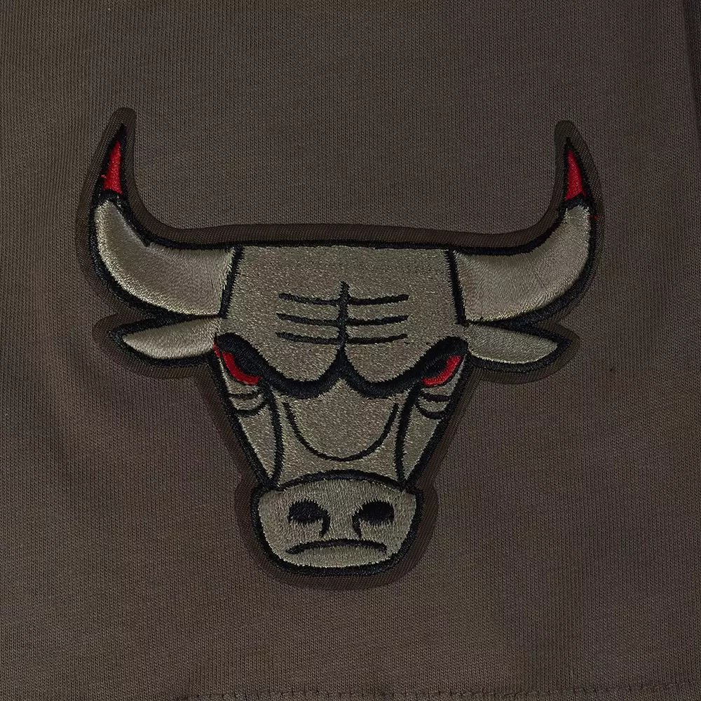 Pro Standard Chicago Bulls Neutral Tee-Brown - BROWN