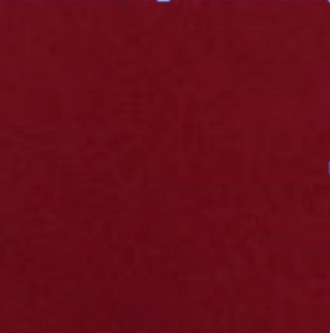 True Religion Women's Crystal Cropped Zipped Hoodie - PINK Thumbnail View 7