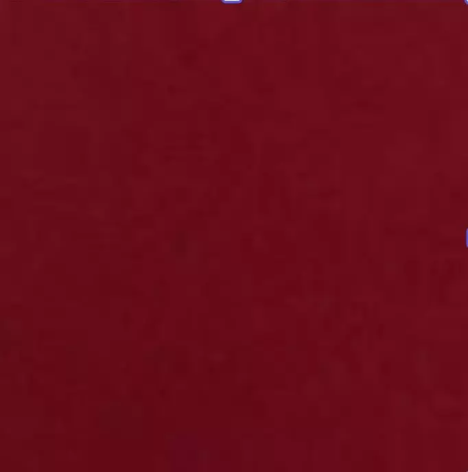 True Religion Women's Crystal Cropped Zipped Hoodie - PINK