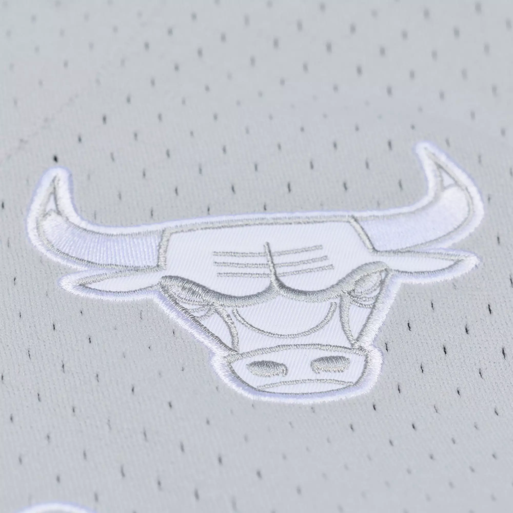 Mitchell & Ness Chicago Bulls Button Front Jersey - Grey - GREY/BLACK