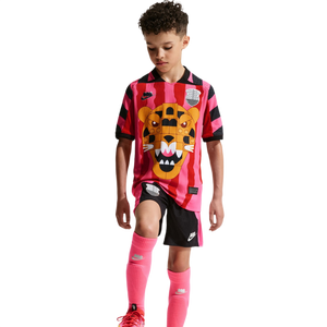 Nike Big Kids' x LEGO Collection Aero-FIT Soccer Jersey - Pink/Red