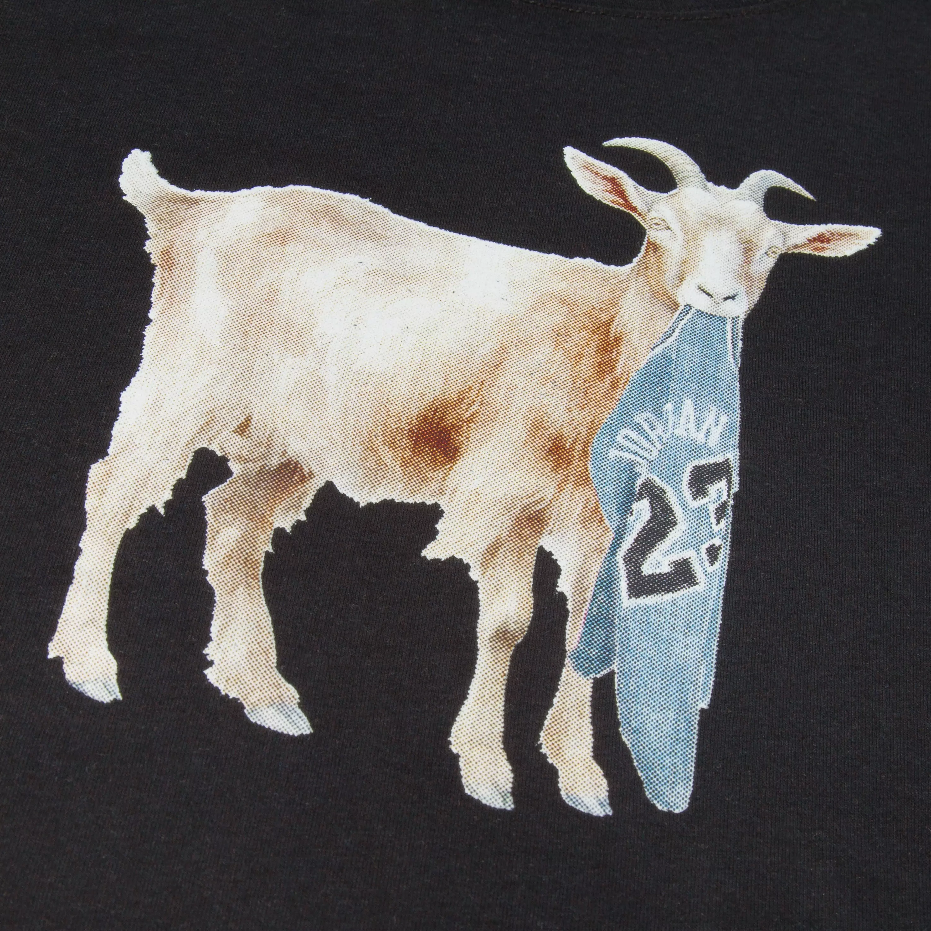 Jordan Big Boys' GOAT Tee - Gamma Blue - BLACK