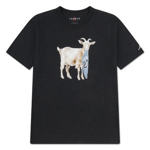 Jordan Big Boys' GOAT Tee - Gamma Blue