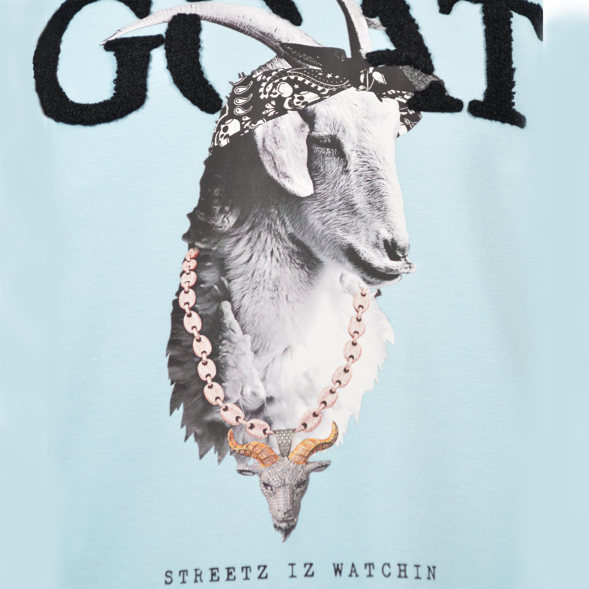 Streetz Iz Watchin Big Girls' GOAT Tee - Light Blue - LT BLUE Thumbnail View 4