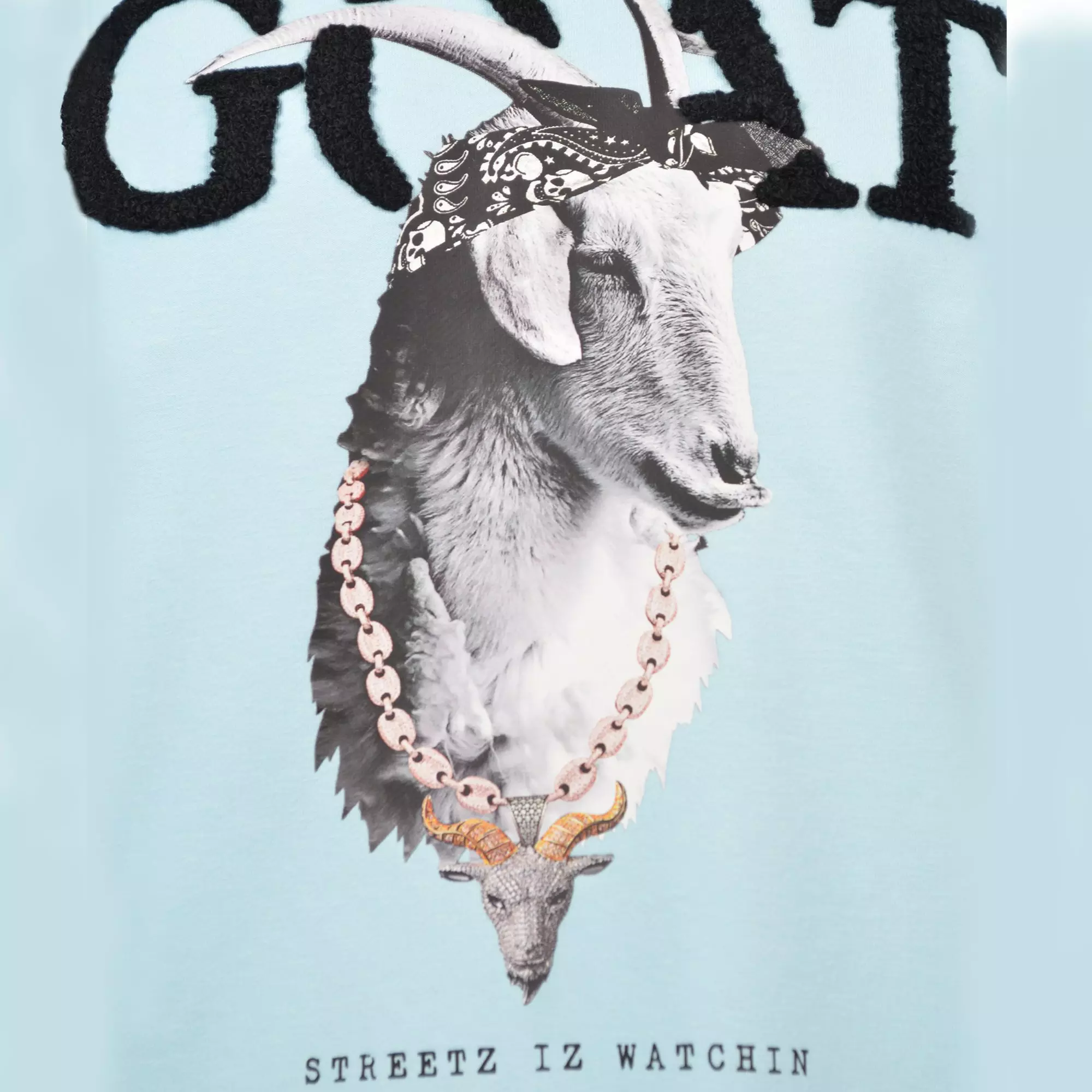 Streetz Iz Watchin Big Girls' GOAT Tee - Light Blue - LT BLUE