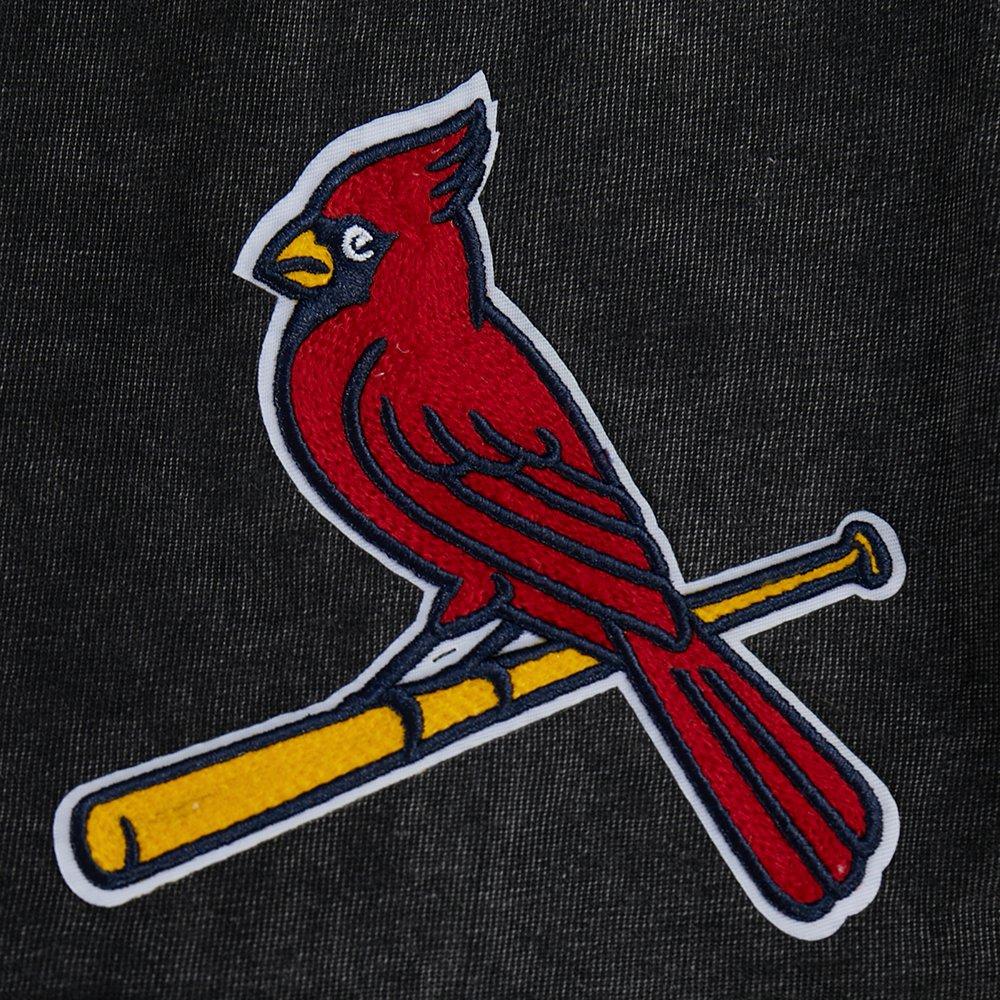 Pro Standard St. Louis Cardinals Waves Roses Tee Shirt-Black - BLACK Thumbnail View 6