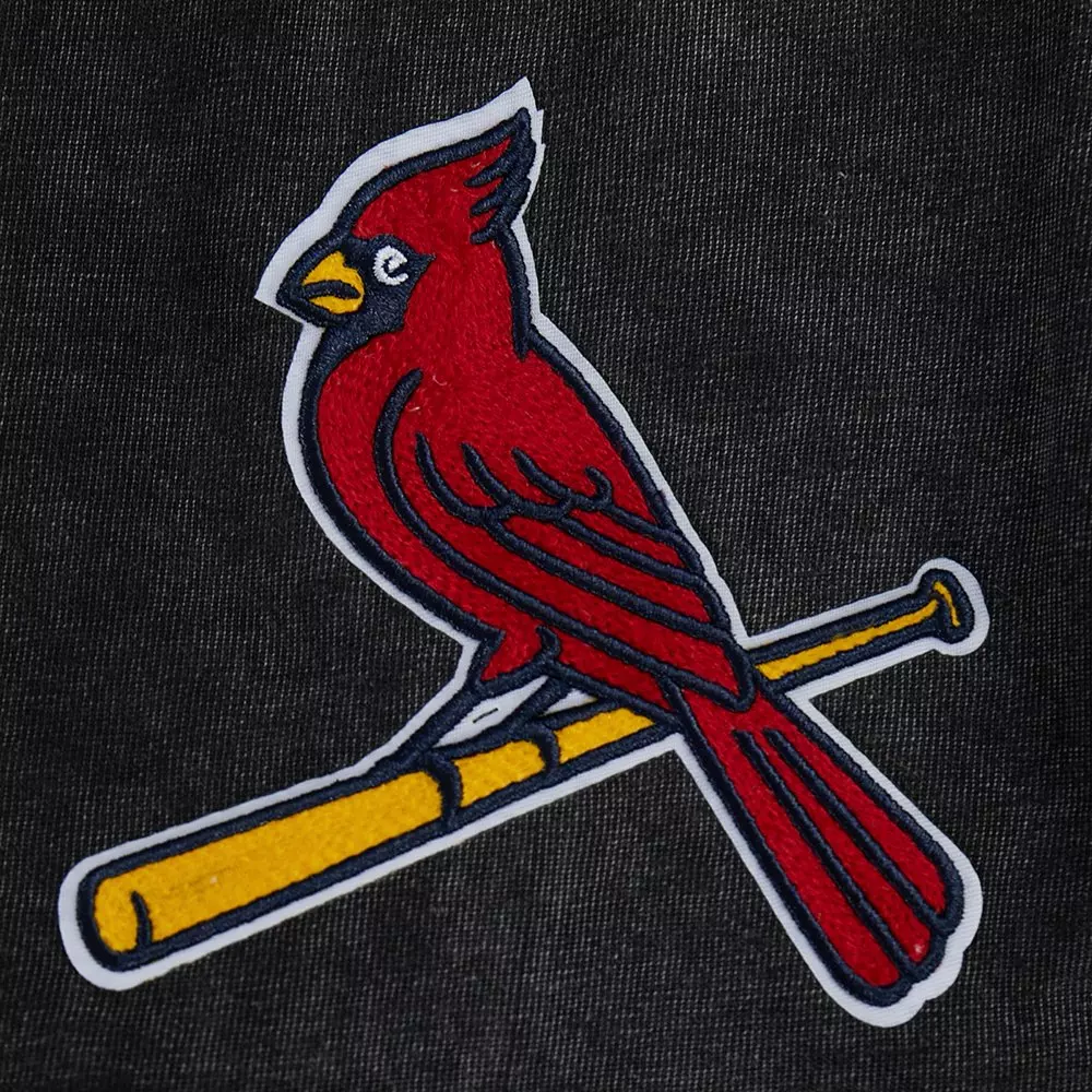 Pro Standard St. Louis Cardinals Waves Roses Tee Shirt-Black - BLACK