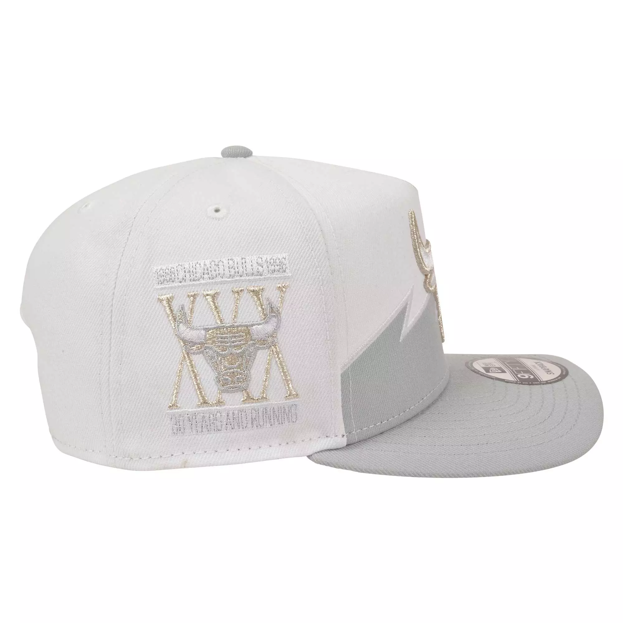 New Era Chicago Bulls 9FIFTY A-Frame Silver V Snapback Hat-White/Silver - WHITE/SILVER