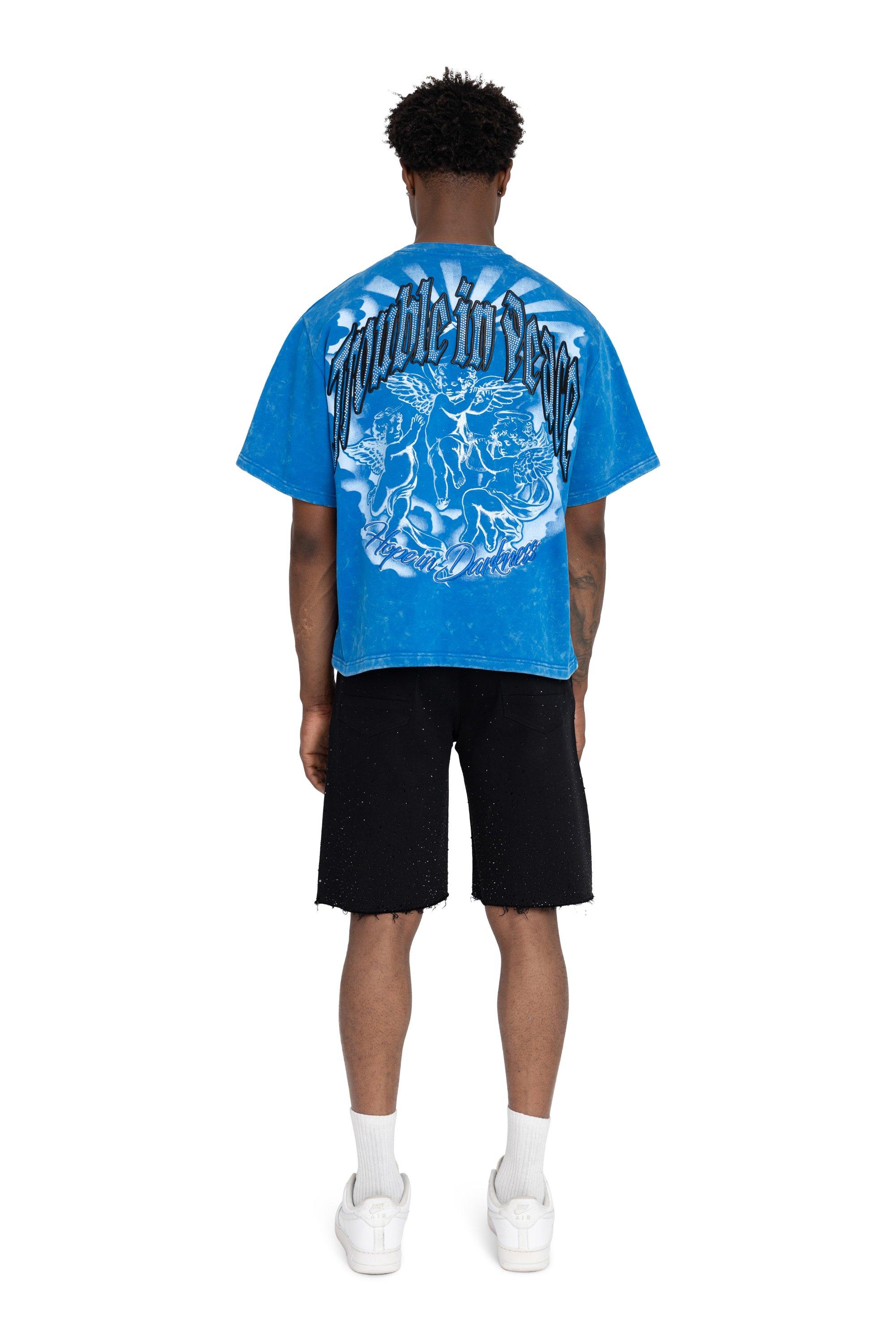 FA26 TROUBLE IN PEACE FT CROP-SKYDIVER - BLUE
