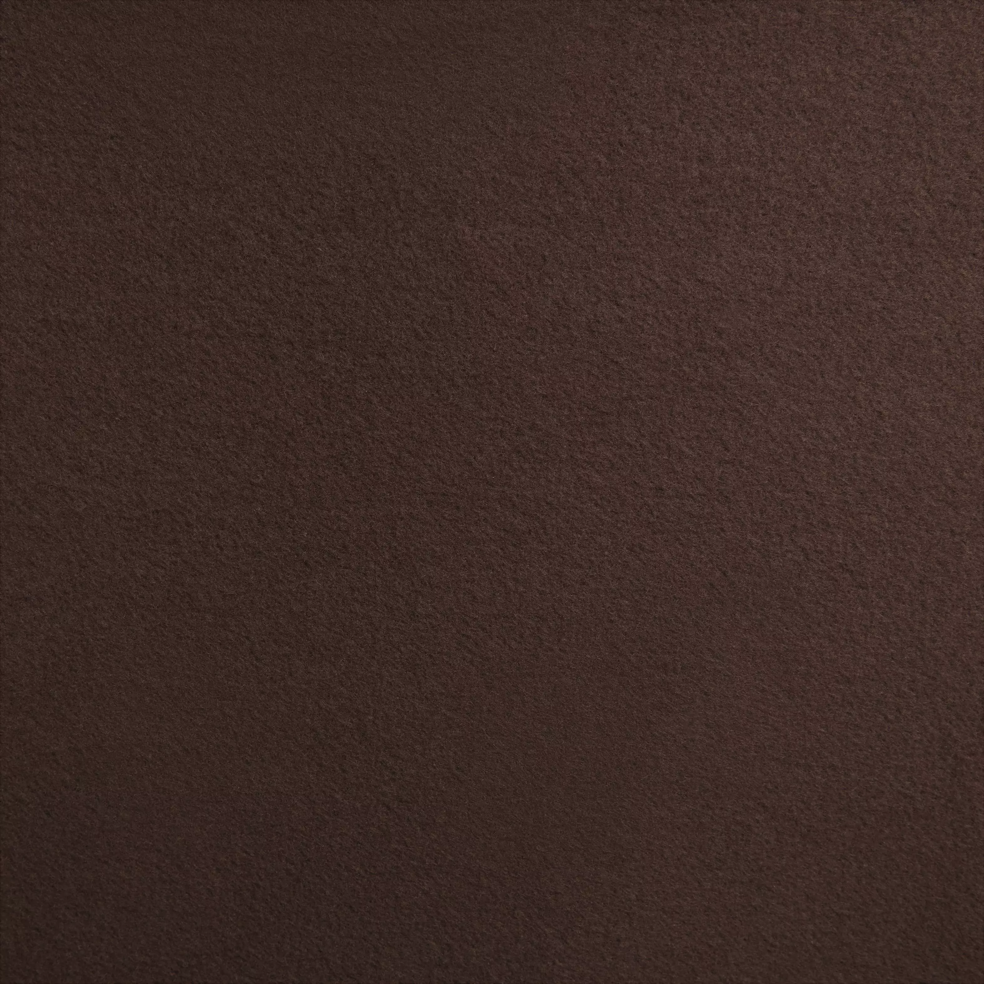 Nike Women's Sportswear Phoenix Fleece Oversized Crewneck Sweatshirt - BROWN