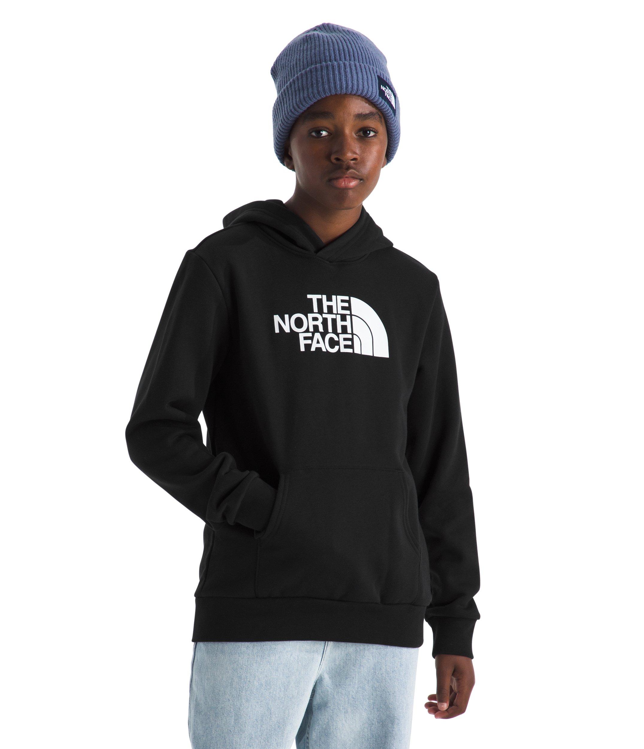 The North Face Big Kids' Evolution Half Dome Hoodie - Black - BLACK Thumbnail View 2