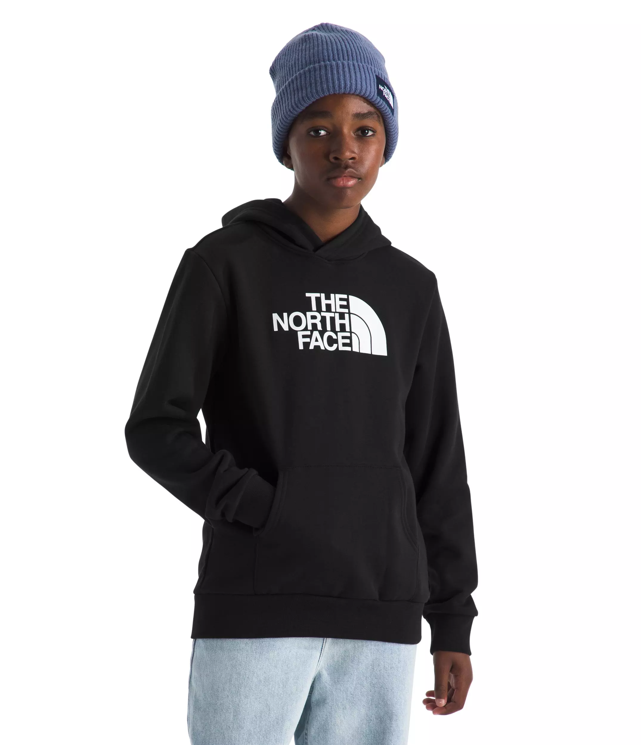 The North Face Big Kids' Evolution Half Dome Hoodie - Black - BLACK