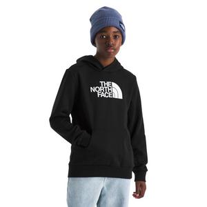 The North Face Big Kids' Evolution Half Dome Hoodie - Black