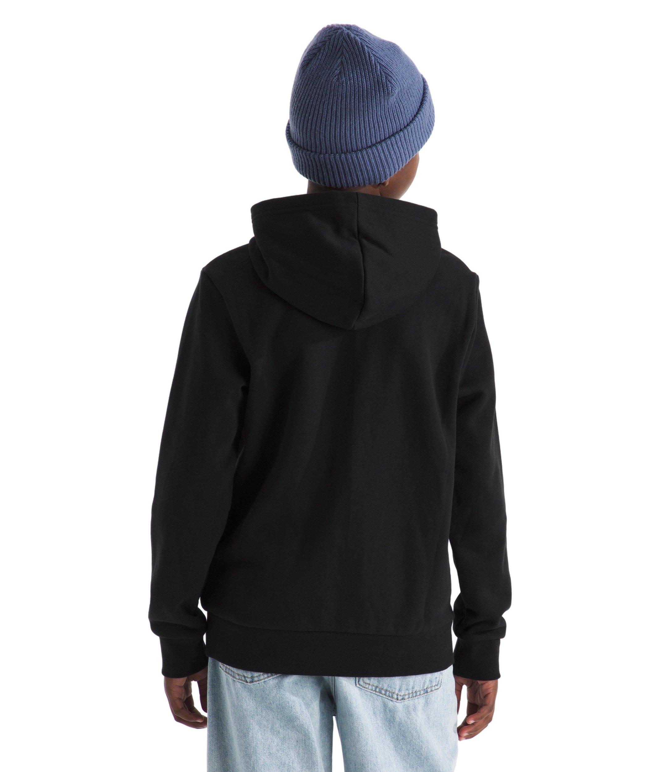 The North Face Big Kids' Evolution Half Dome Hoodie - Black - BLACK Thumbnail View 3