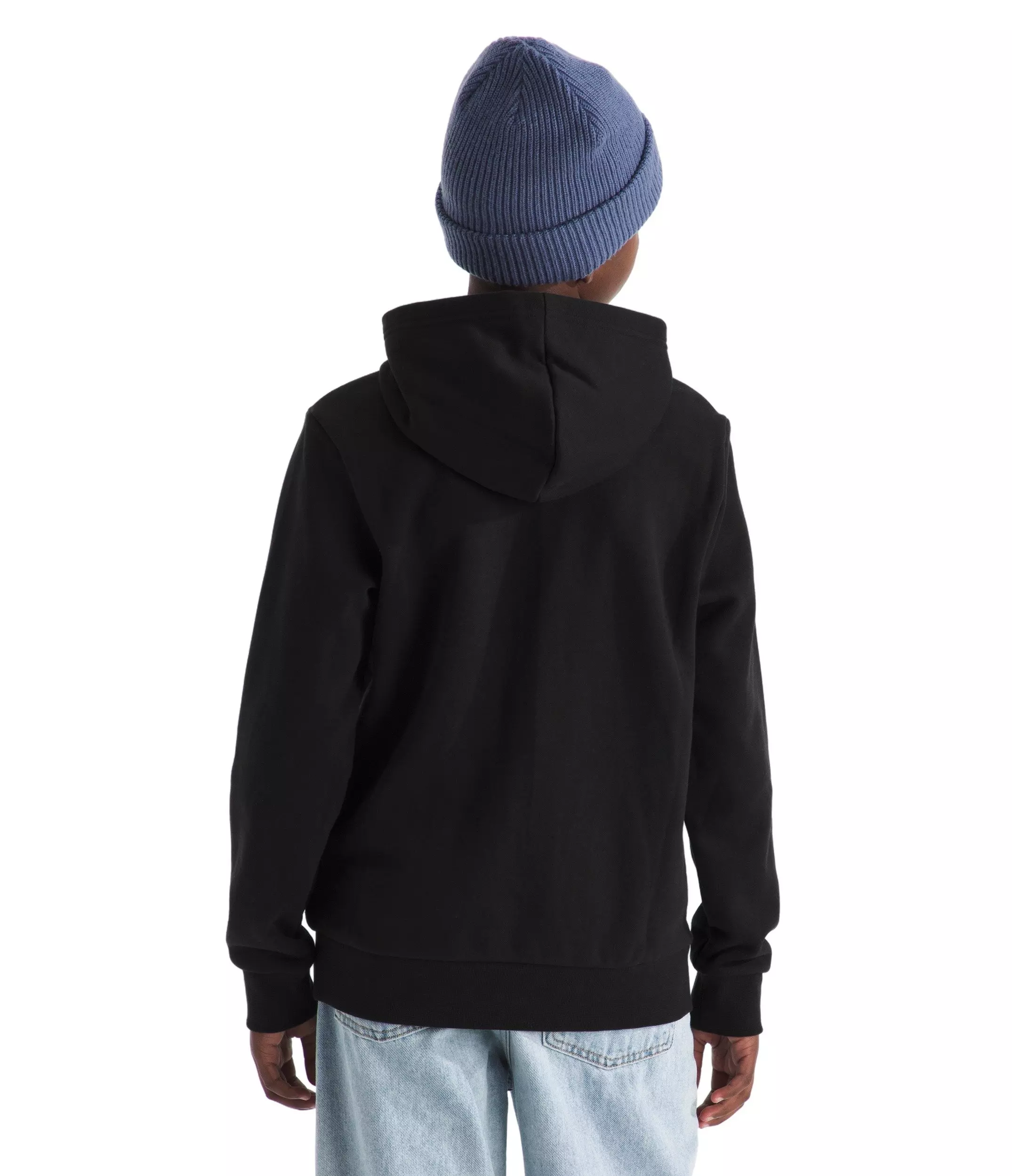 The North Face Big Kids' Evolution Half Dome Hoodie - Black - BLACK