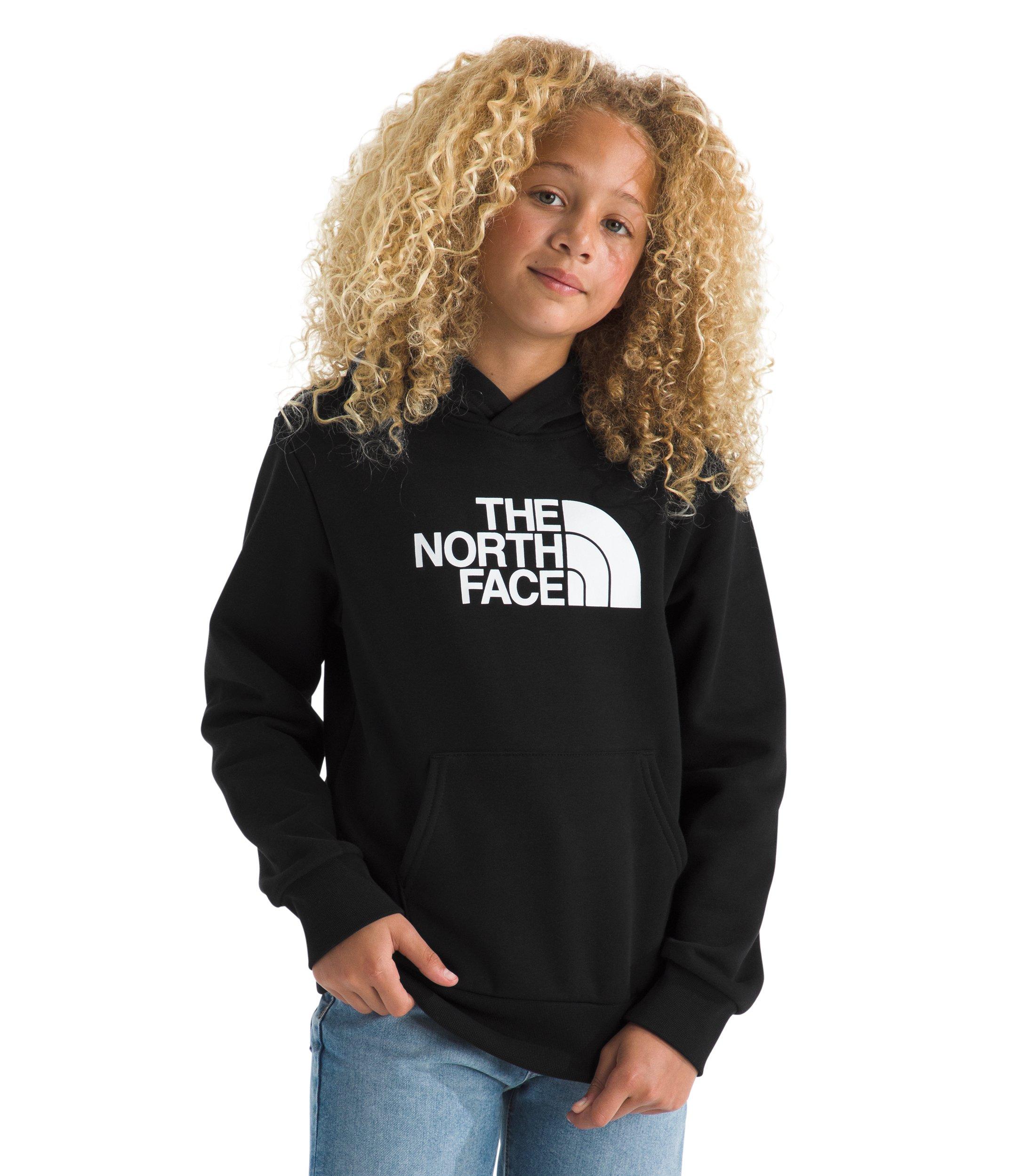 The North Face Big Kids' Evolution Half Dome Hoodie - Black - BLACK Thumbnail View 4