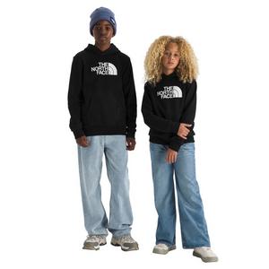 The North Face Big Kids' Evolution Half Dome Hoodie - Black