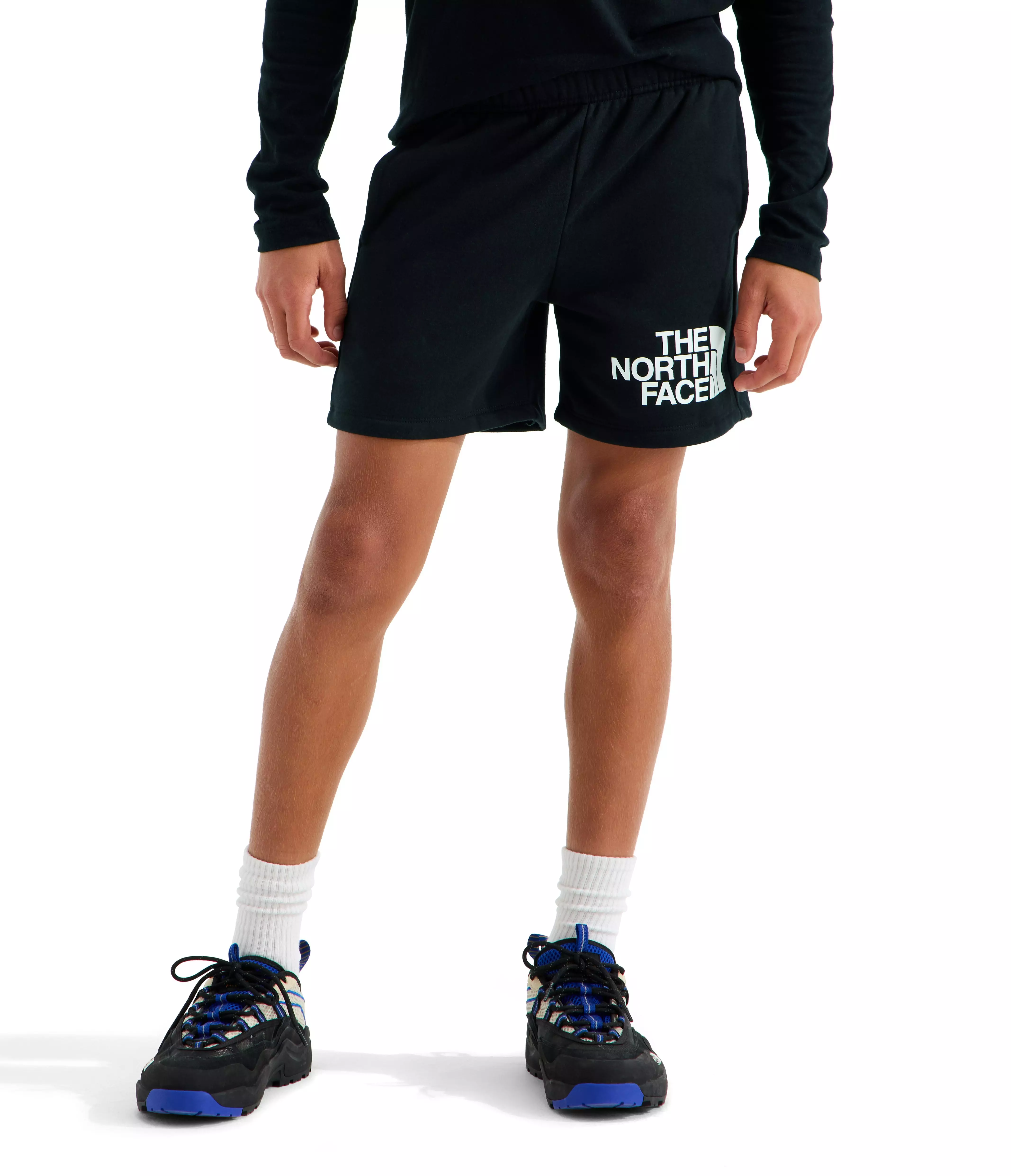 The North Face Big Kids' Evolution Half Dome Shorts - Black - BLACK