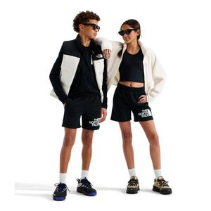 The North Face Big Kids' Evolution Half Dome Shorts -Black