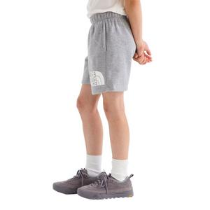 The North Face Big Kids' Evolution Half Dome Shorts -Grey