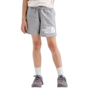 The North Face Big Kids' Evolution Half Dome Shorts -Grey
