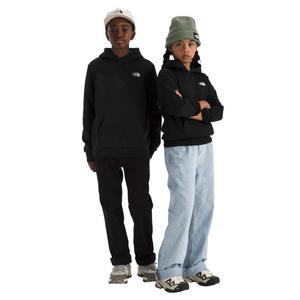 The North Face Big Kids' Evolution Simple Dome Pullover Hoodie - Black