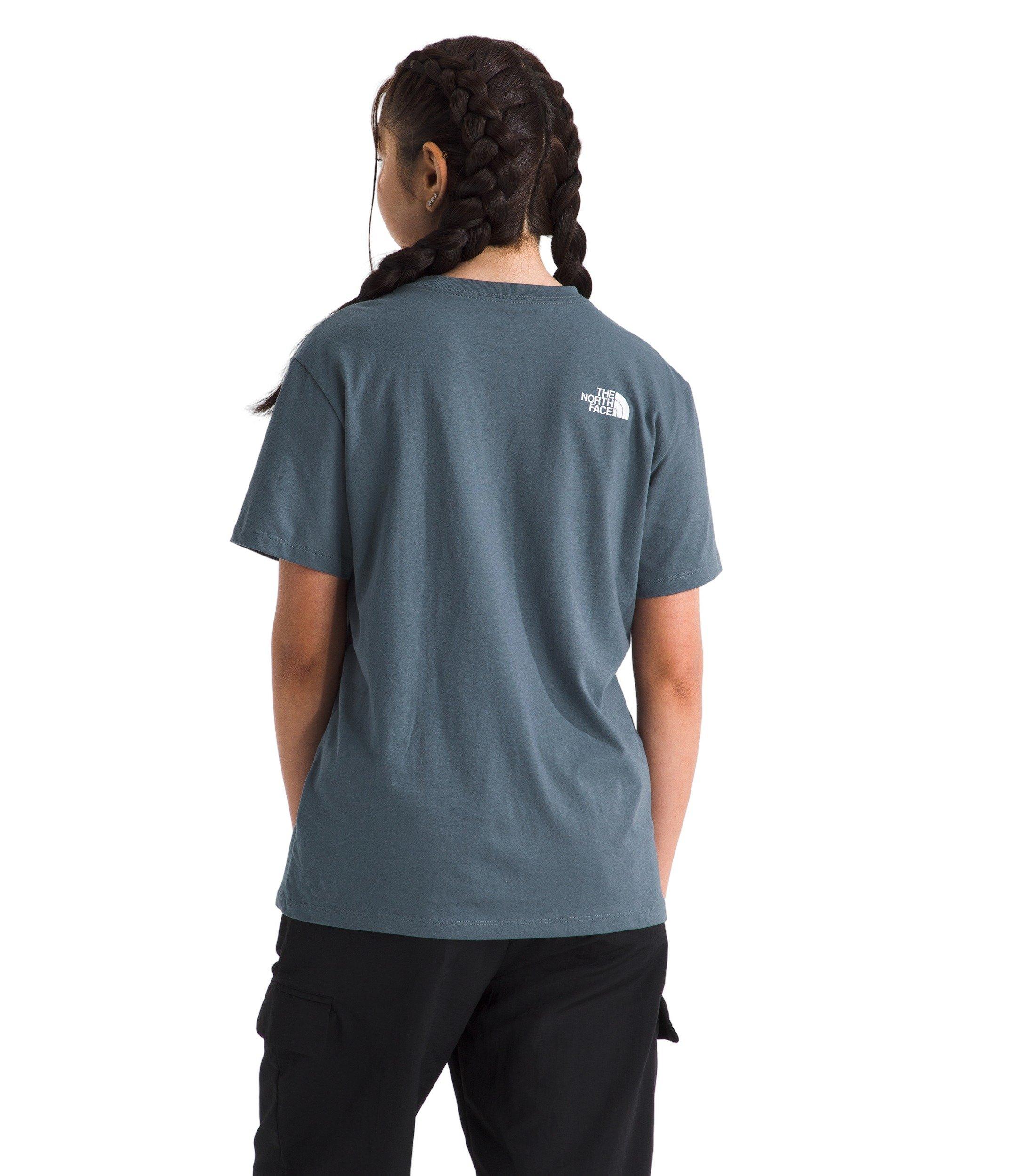 The North Face Women's Evolution Half Dome Relaxed Short-Sleeve Tee - Grey - GREY Thumbnail View 2