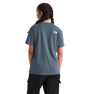 The North Face Women's Evolution Half Dome Relaxed Short-Sleeve Tee -Grey