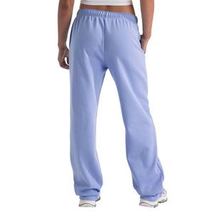 The North Face Women's Evolution Simple Dome Straight Leg Regular Pants -Periwinkle