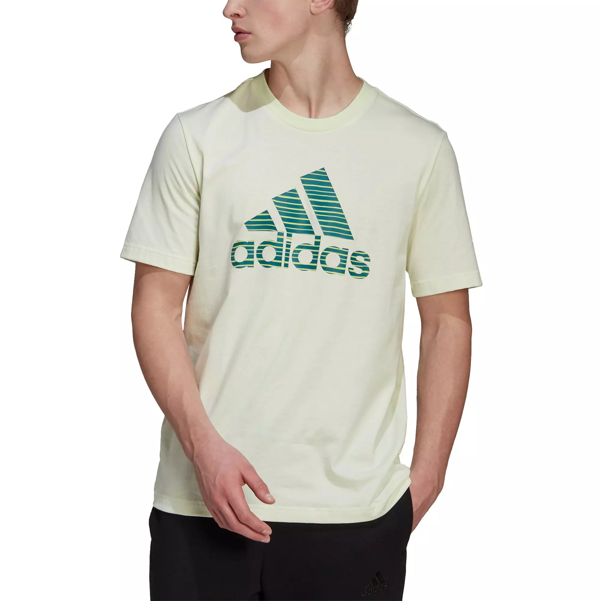 adidas Men's Essentials Summer Pack Single-Dye Logo Tee - Green - GREEN