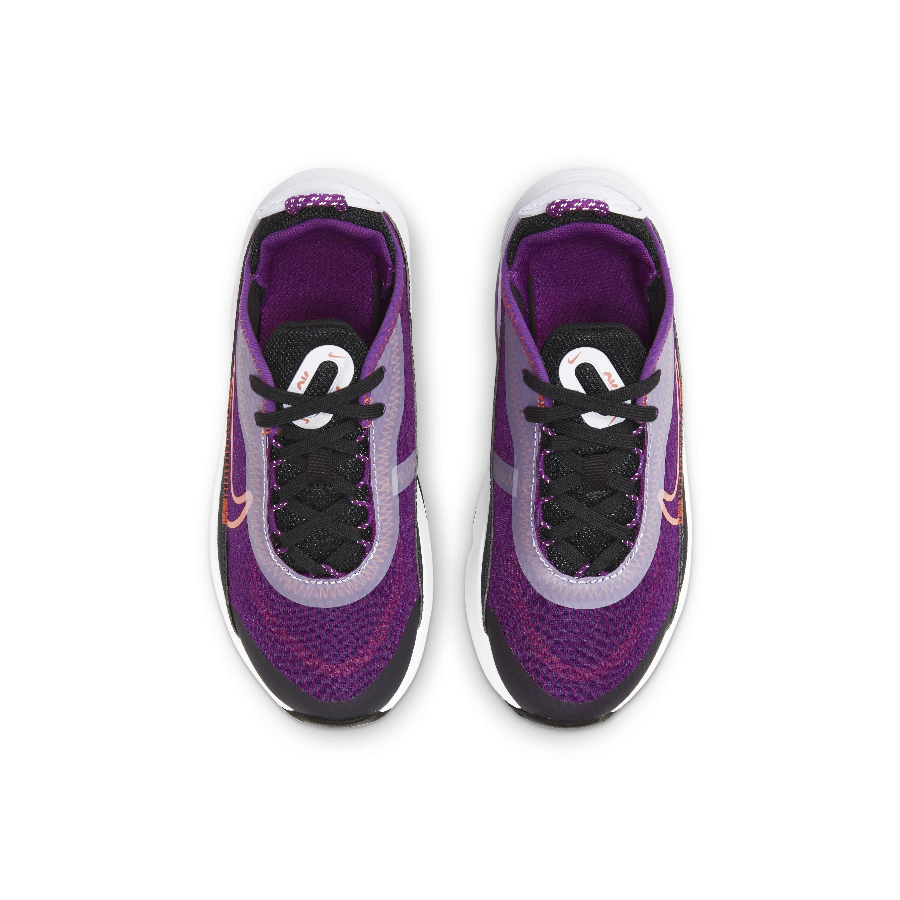 Nike Air Max 2090 Girls' Preschool "Purple" Shoe