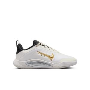 Nike A'One Unanimous "Sail/Vast Grey/Off Noir/Metallic Gold" Grade School Boys' Basketball Shoe