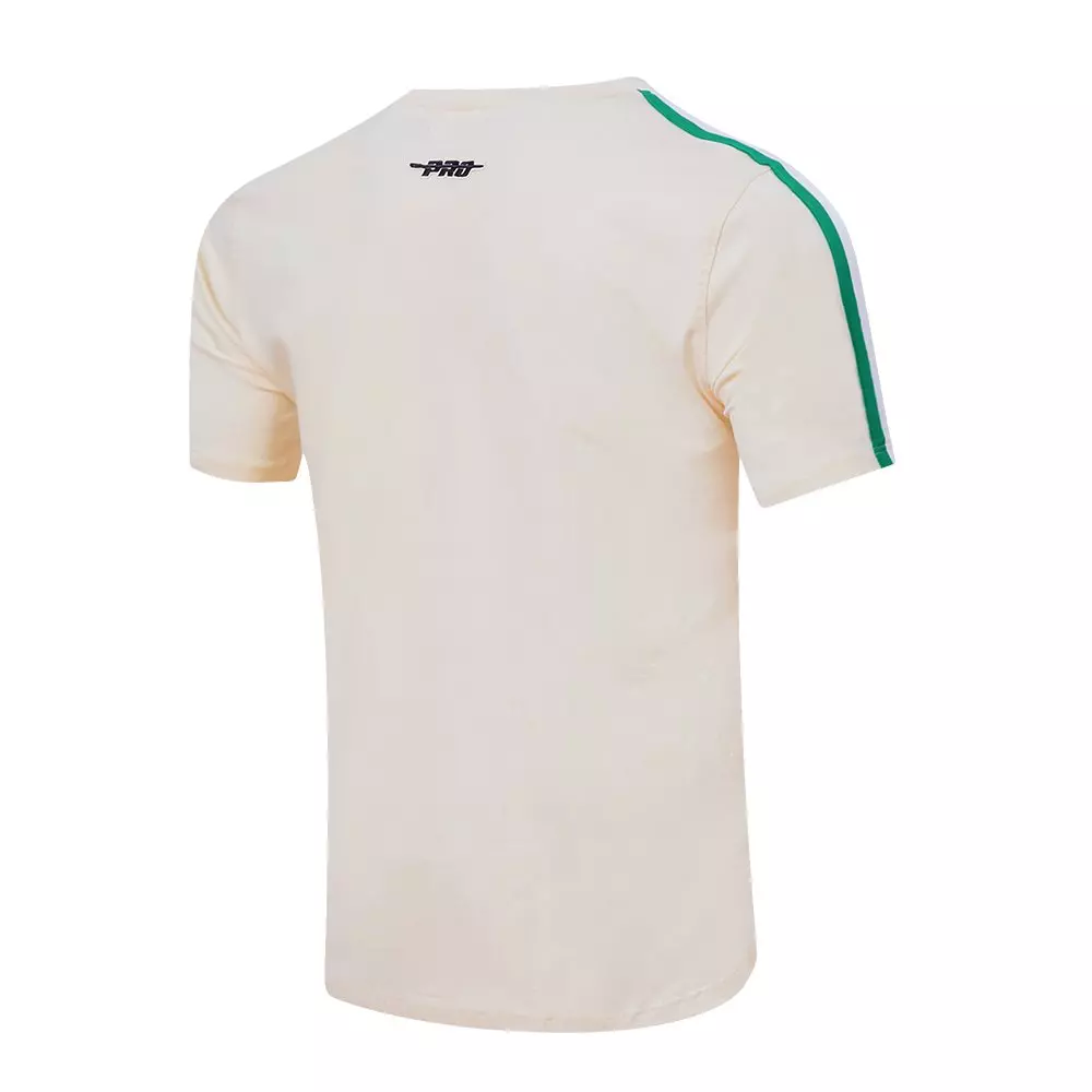Pro Standard Men's NBA Boston Celtics Retro Classic SJ Striped Tee - Eggshell/Kelly Green - EGGSHELL/KELLY GREEN