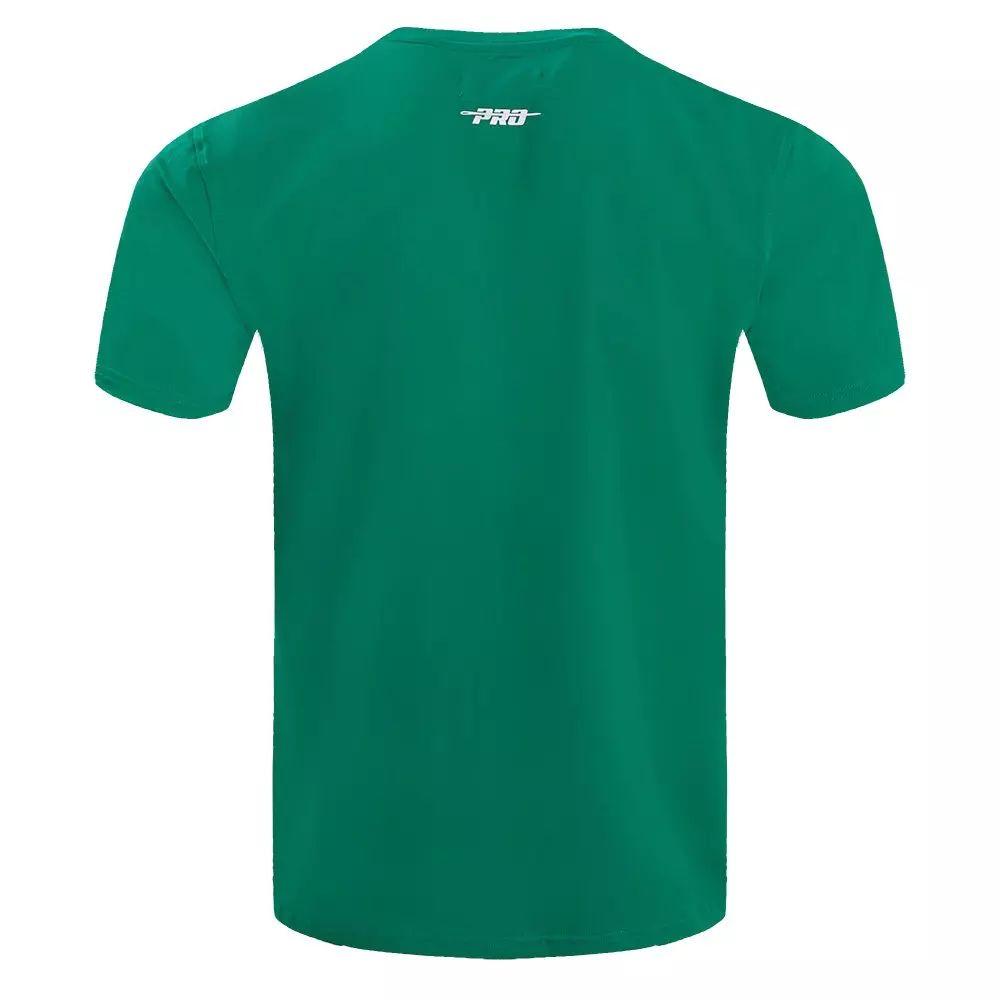 Pro Standard Men's NBA Boston Celtics Retro Classic SJ Striped Tee -Kelly Green - KELLY GREEN