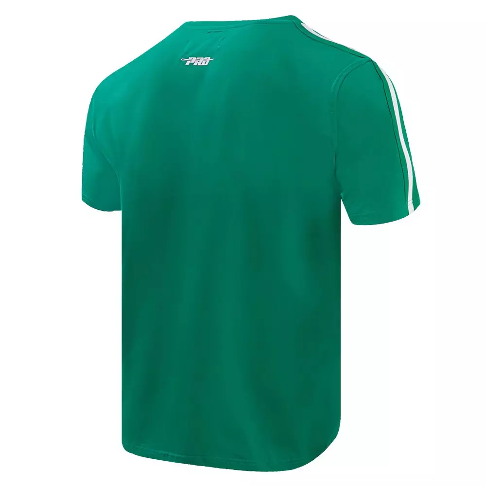 Pro Standard Men's NBA Boston Celtics Retro Classic SJ Striped Tee - Kelly Green - KELLY GREEN