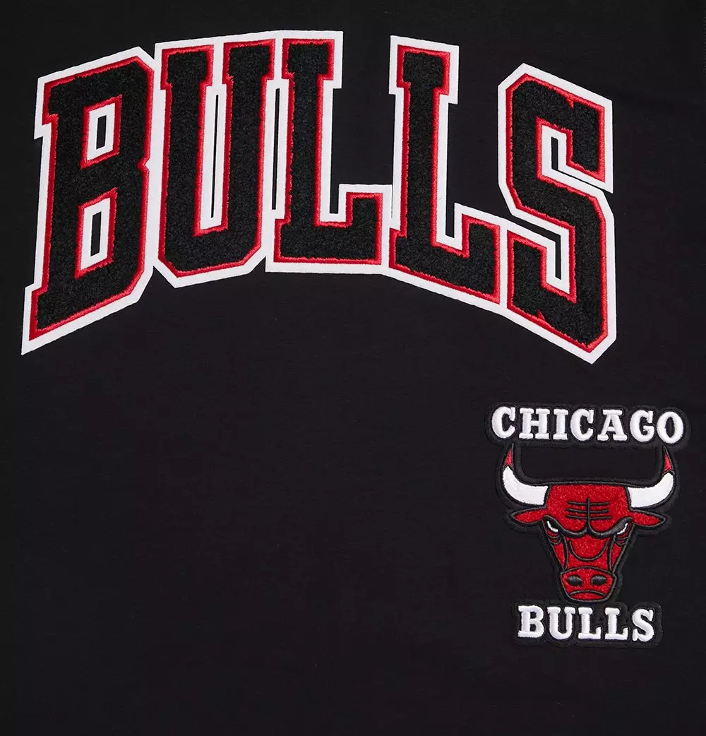 Pro Standard Men's NBA Chicago Bulls Retro Classic SJ Striped Tee - Black/Red - BLACK/RED