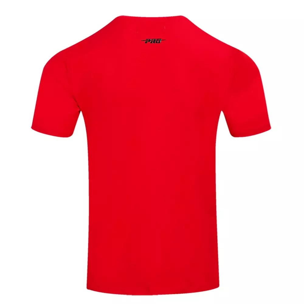 Pro Standard Men's NBA Chicago Bulls Retro Classic SJ Striped Tee -Red/Black - RED/BLACK