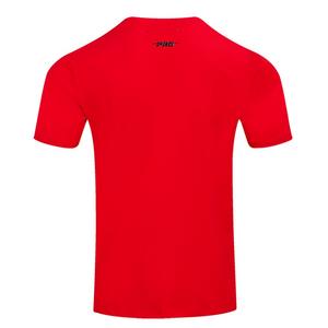 Pro Standard Men's NBA Chicago Bulls Retro Classic SJ Striped Tee -Red/Black