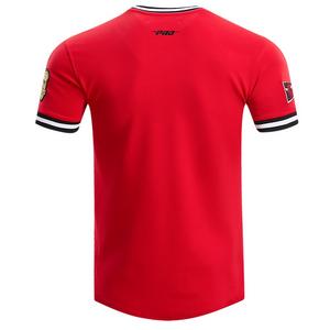 Pro Standard Men's NBA Chicago Bulls Retro Classic Double Knit Tee -Red/Black