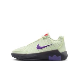 Nike LeBron Witness 9 "Volt Tint/Black/Smoke Grey/Multi-Color" Grade School Boys' Basketball Shoe