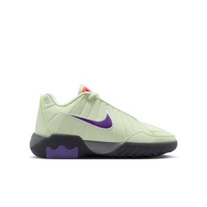 Nike LeBron Witness 9 "Volt Tint/Black/Smoke Grey/Multi-Color" Grade School Boys' Basketball Shoe