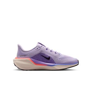 Nike Pegasus 41 "Violet Mist/Bright Violet/Sapphire/Purple Dynasty" Grade School Girls' Running Shoe