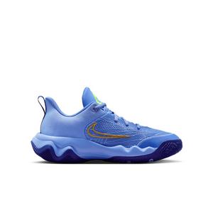 Nike Giannis Immortality 4 "Royal Pulse/Royal/Volt/Turquoise" Grade School Boys' Basketball Shoe