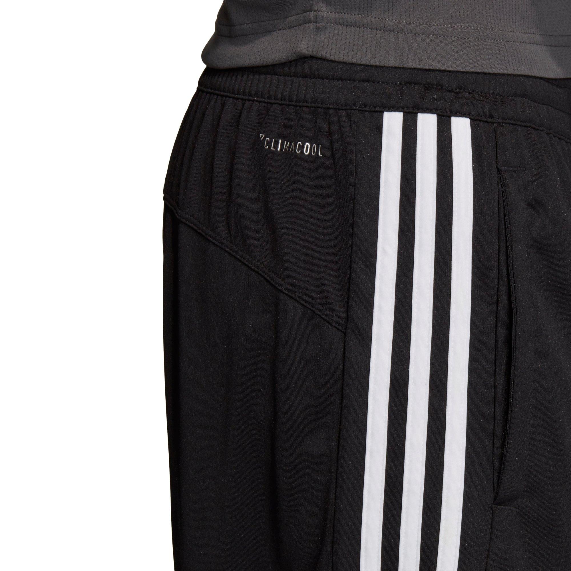 short climacool adidas